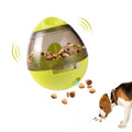 Treat-dispensing slow feeder ball releasing kibble as a beagle plays